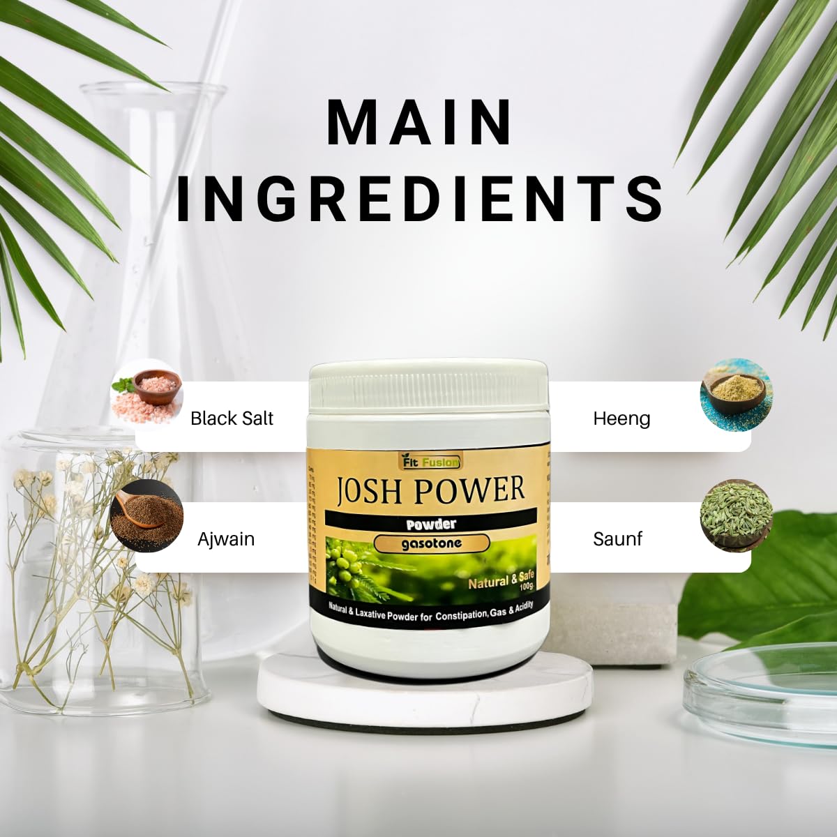 Fit Fusion Ayurveda Josh Power Gasotone Powder 100g - View 3