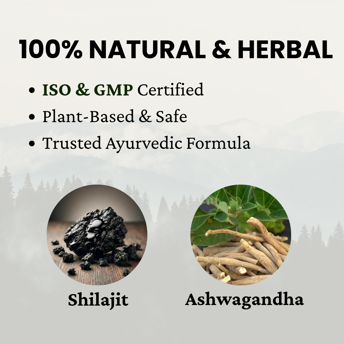 Fit Fusion Ayurveda Ashwagandha + Shilajit Capsule Vitality Combo For Men - View 5